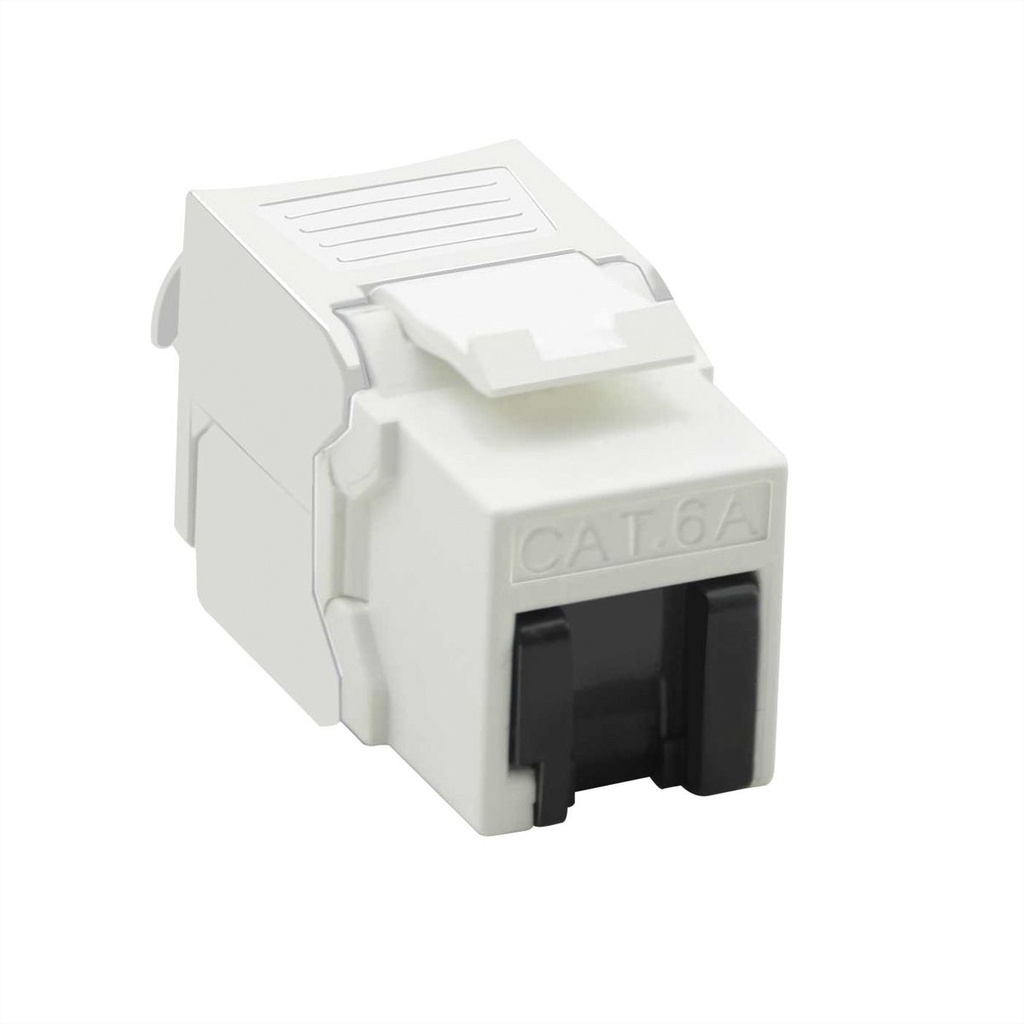 VALUE Cat.6A (Class EA) Keystone, RJ-45, UTP, tool-free, white, silver